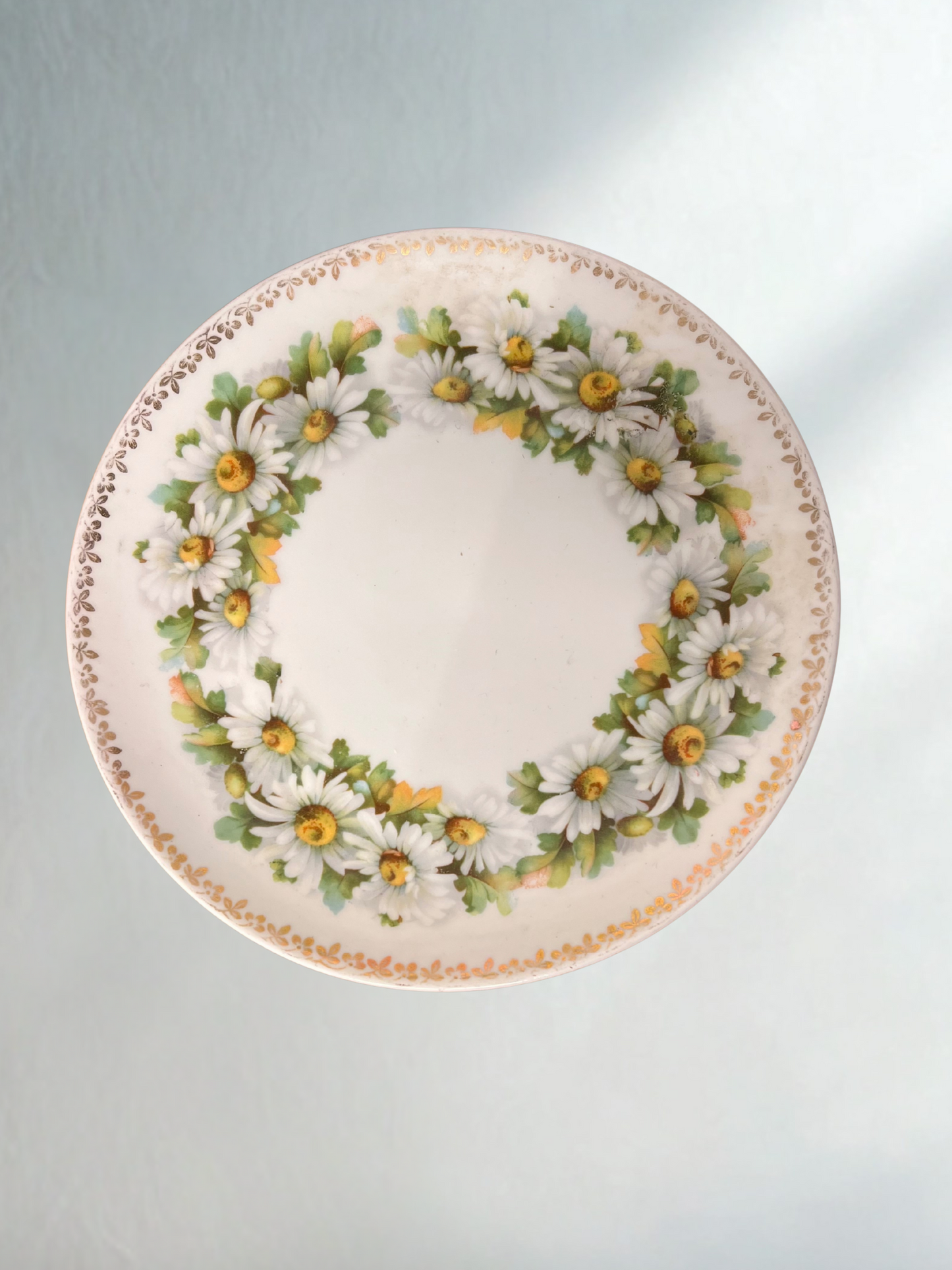 Vintage Daisy Garland Plate – 8"