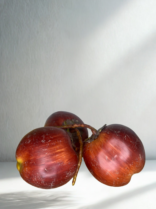 Vintage Decorative Cluster of Three Coconuts